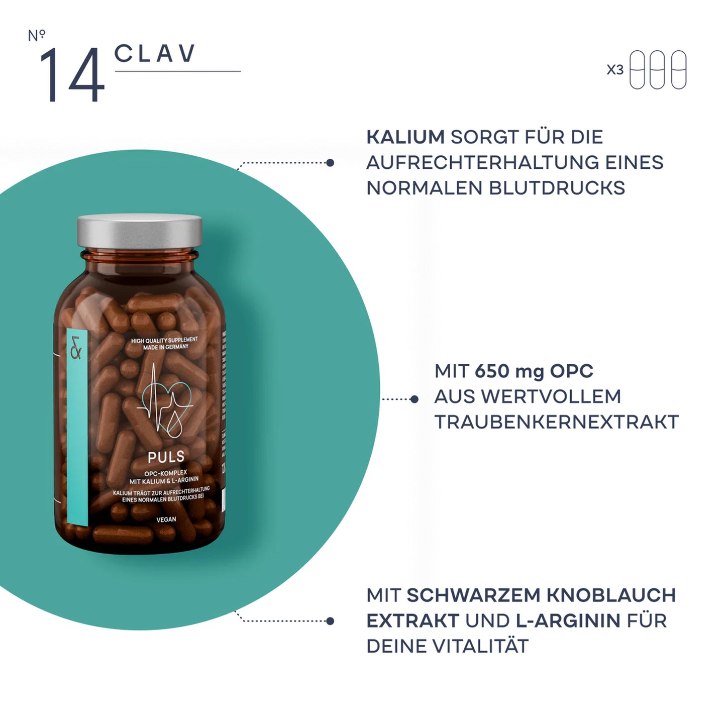 N° 14 PULS
