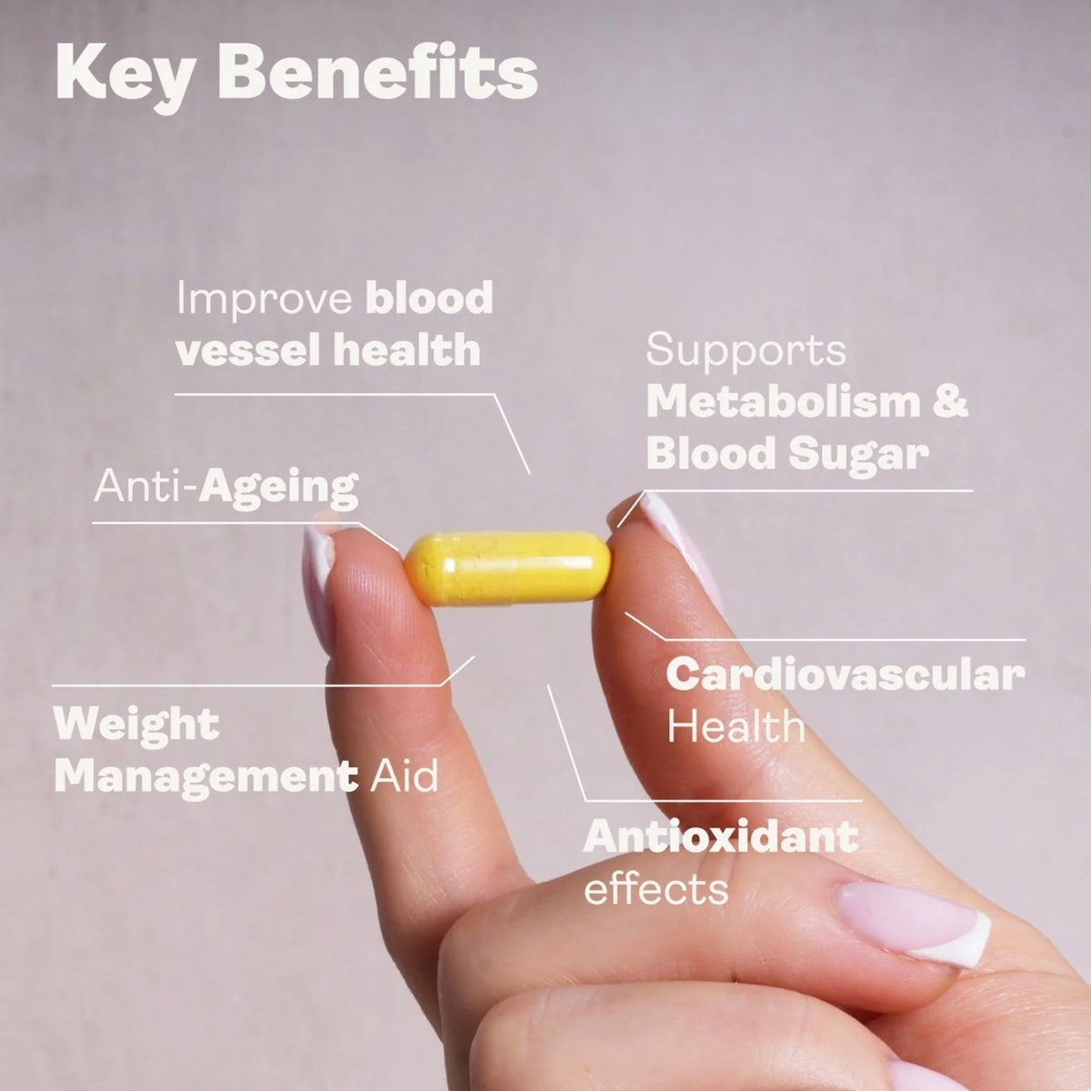 Berberine+ – weitere Produktansicht