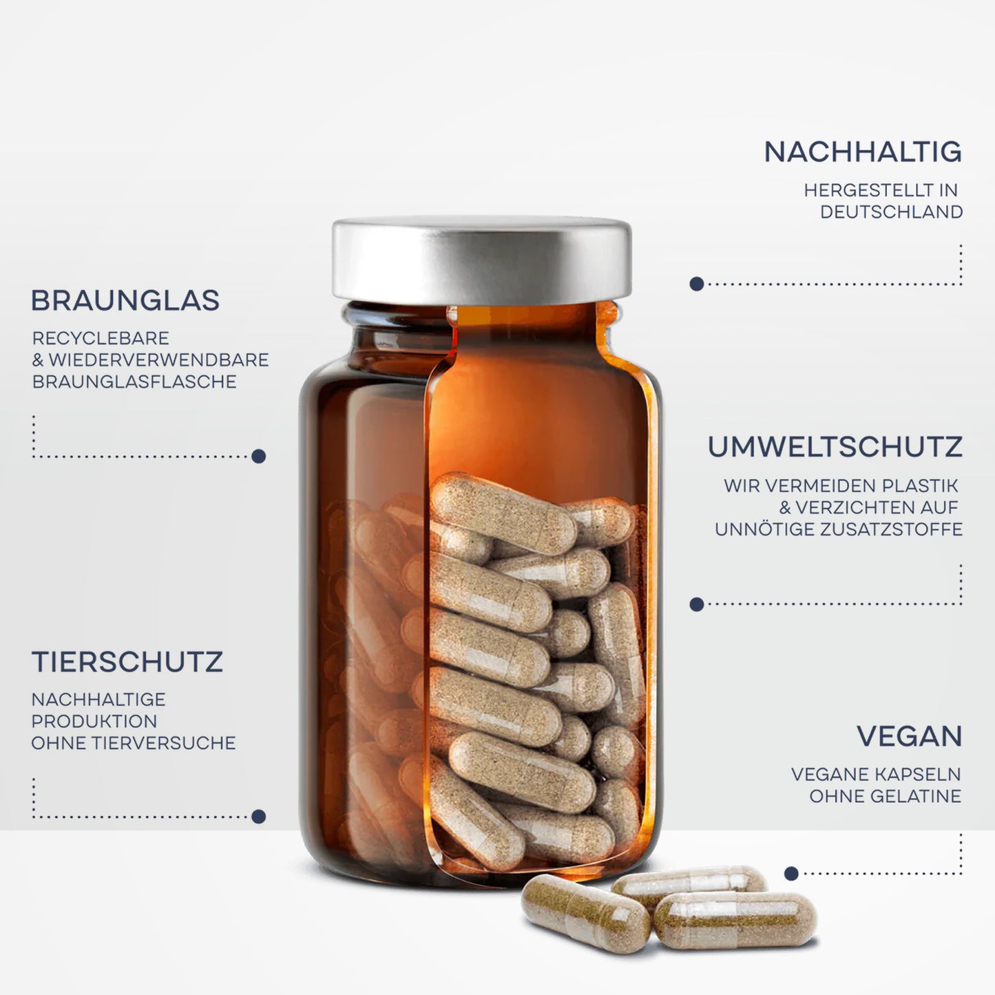 N° 11 BIO SCHILDDRÜSEN BALANCE