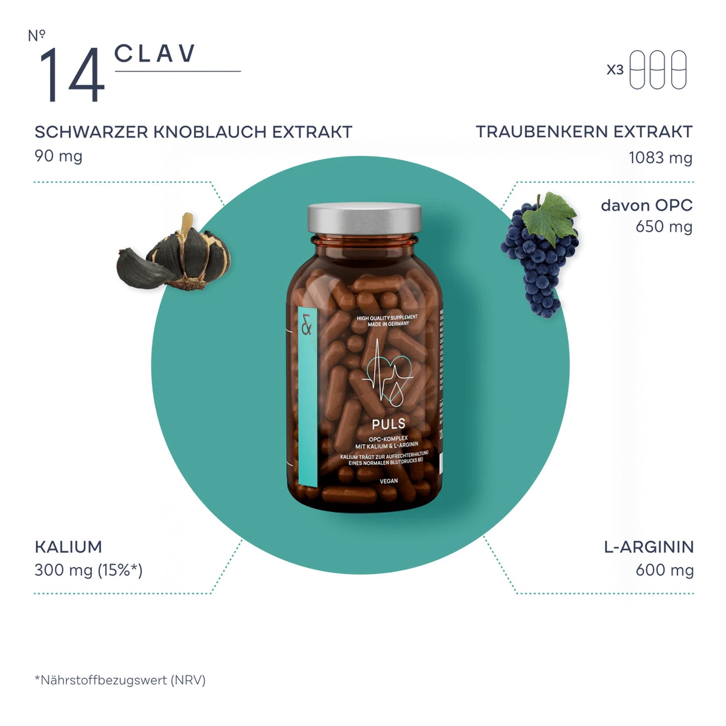 N° 14 PULS