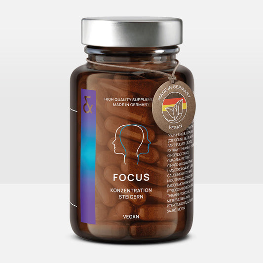 N° 4 FOCUS