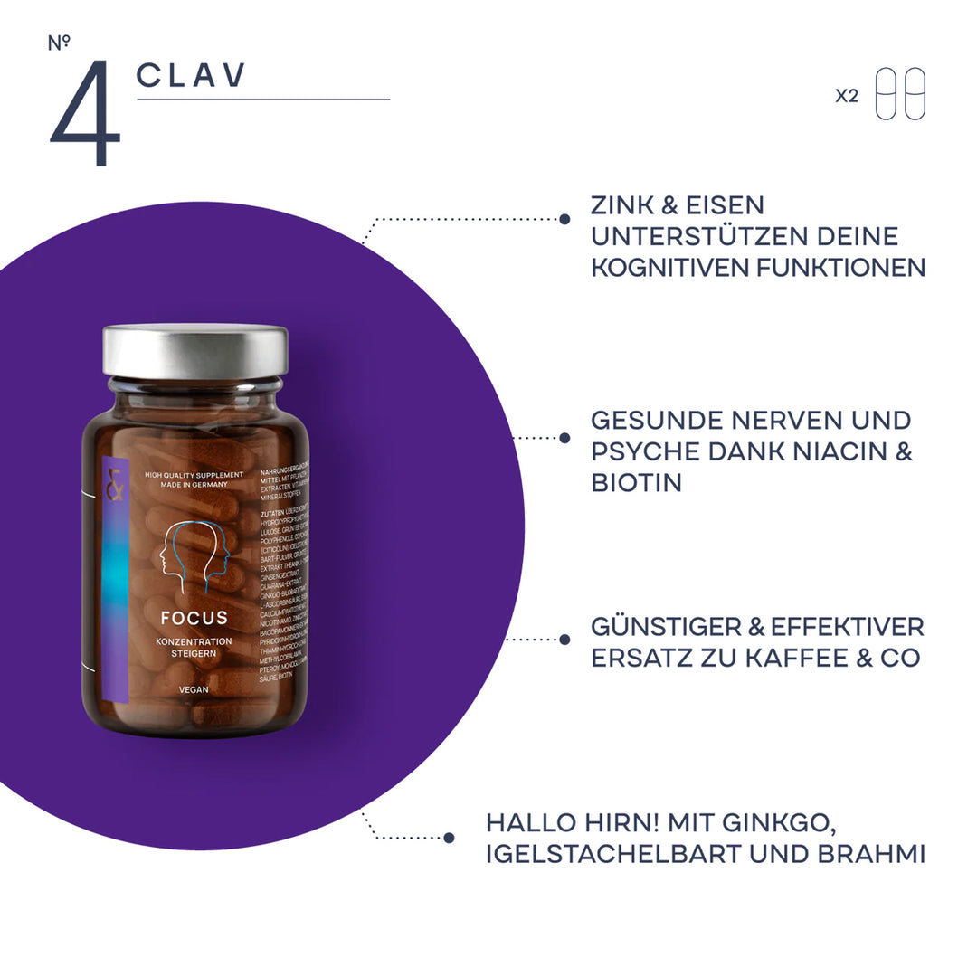 N° 4 FOCUS