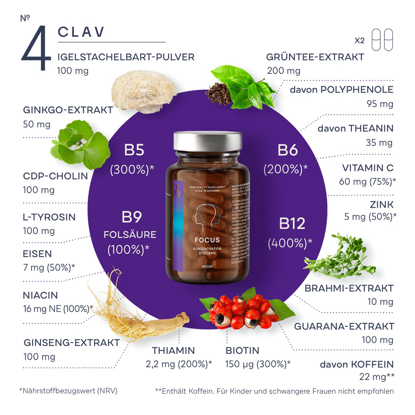 N° 4 FOCUS