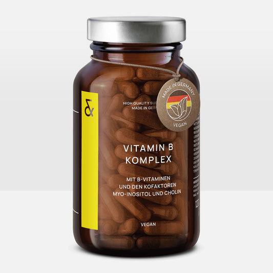 VITAMIN B KOMPLEX