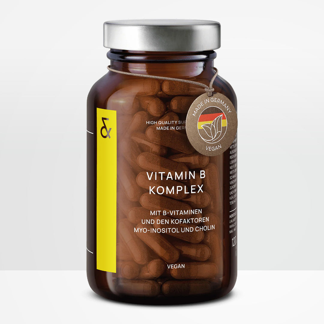 VITAMIN B KOMPLEX