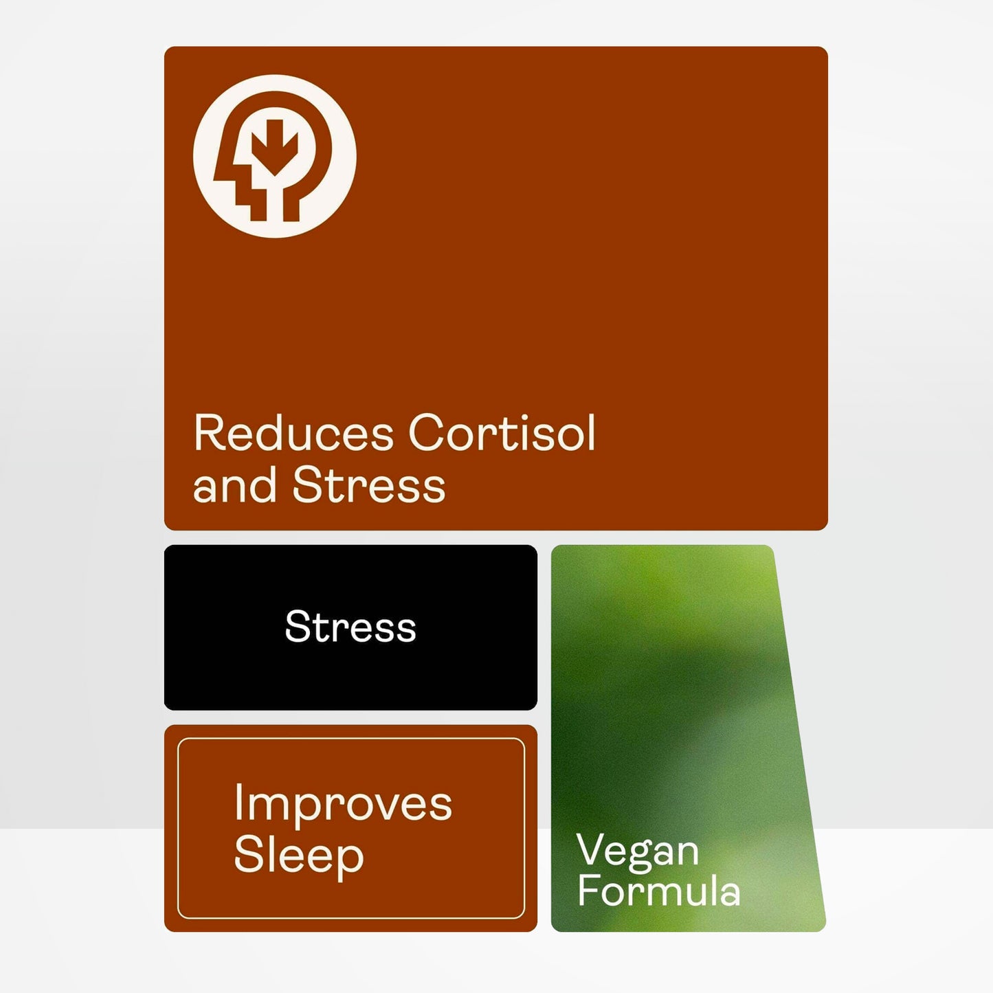 Chillaxcine - Ashwagandha, L-Theanin & Safran