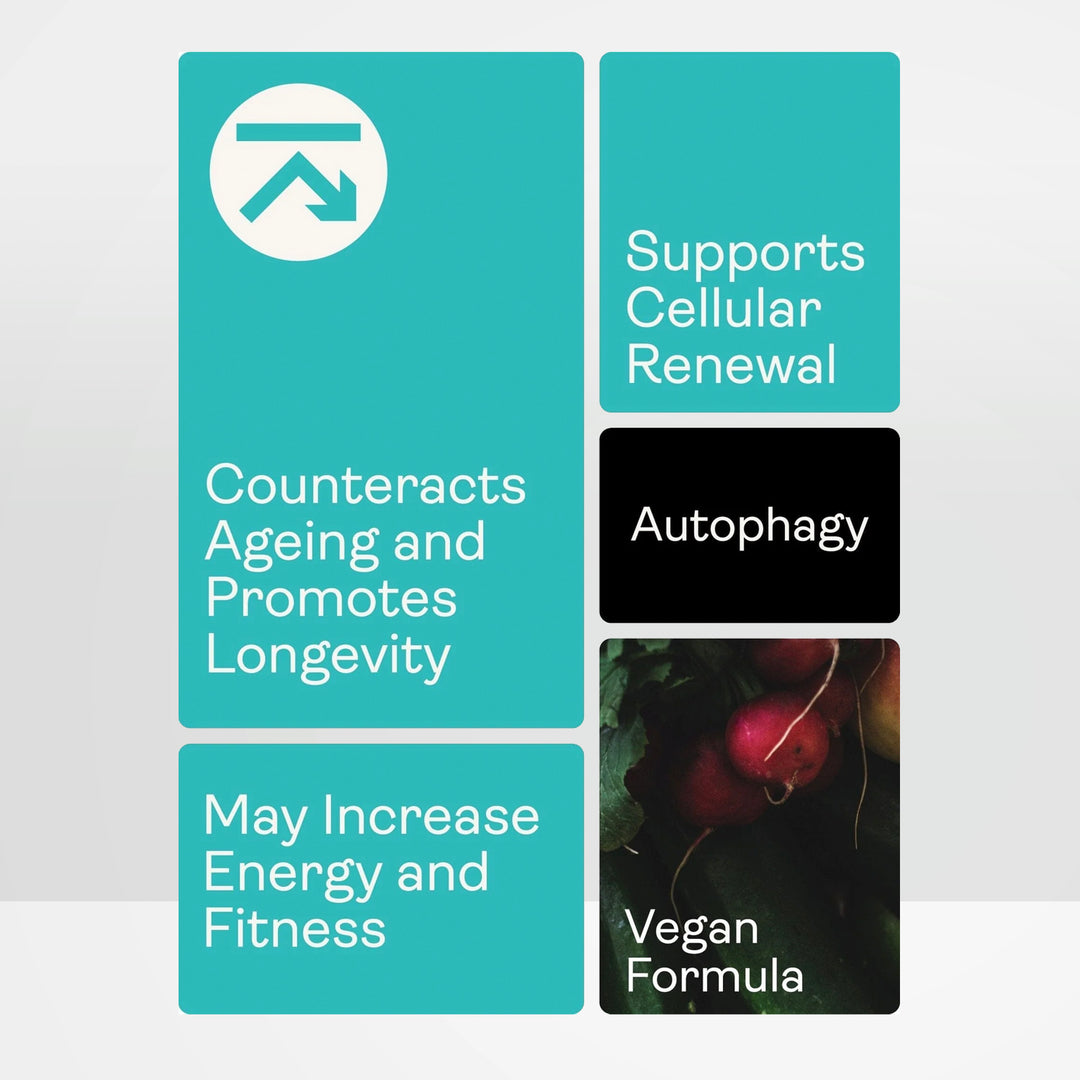 Liposomales Spermidin Kapseln