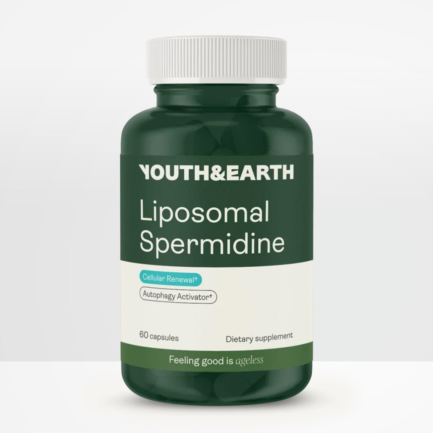 Liposomales Spermidine