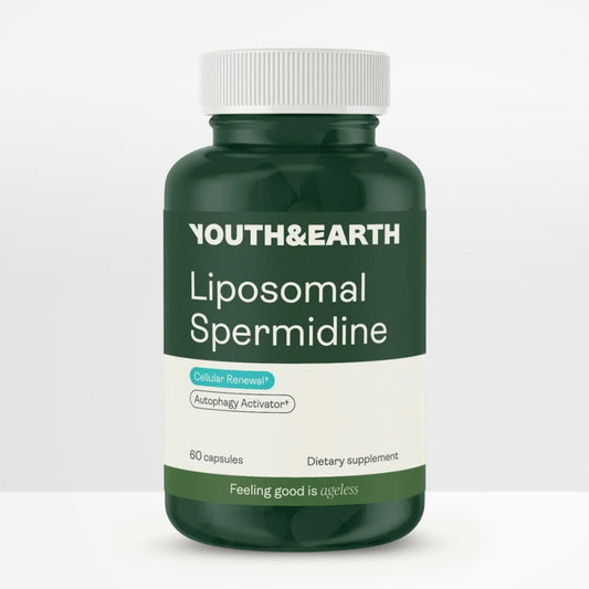 Liposomales Spermidine