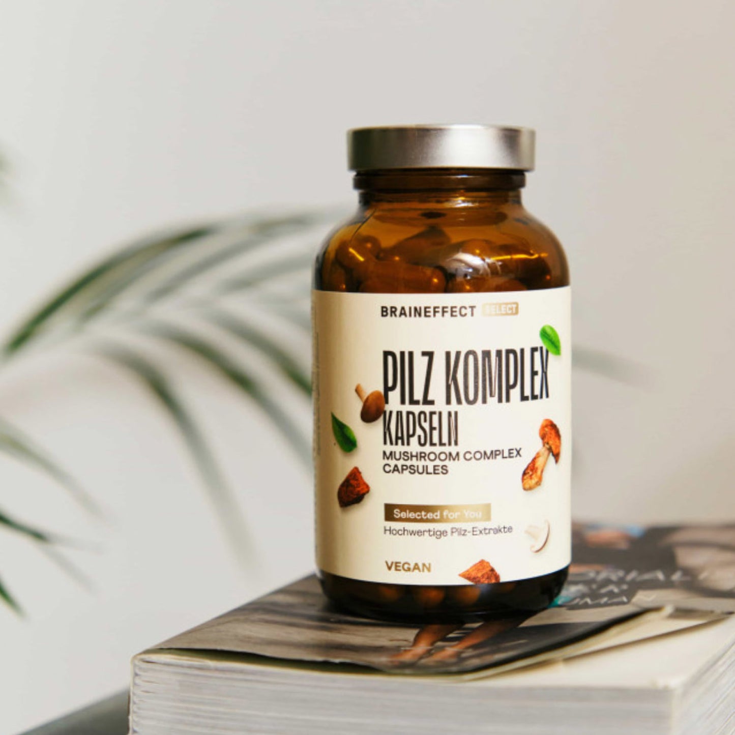 Pilz Komplex