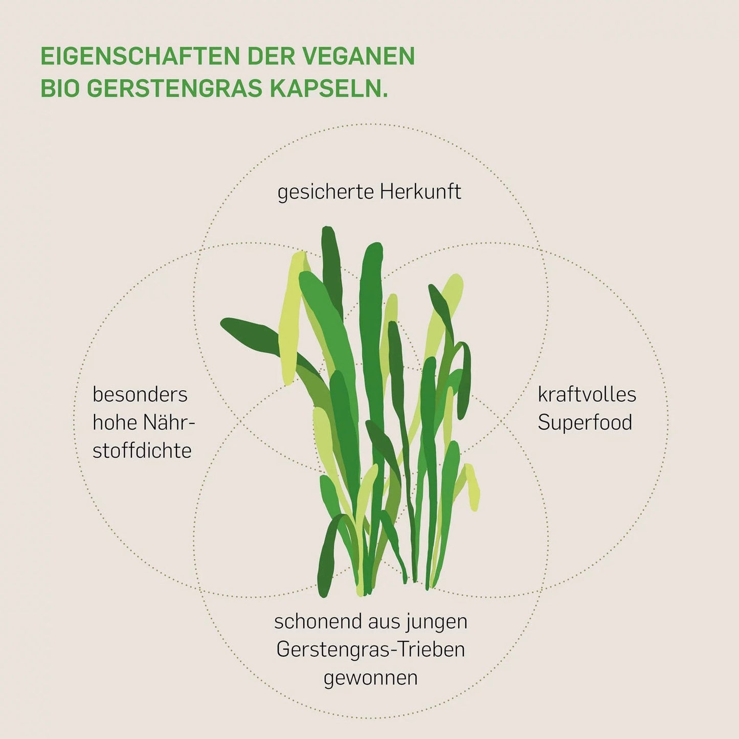 Bio Gerstengras