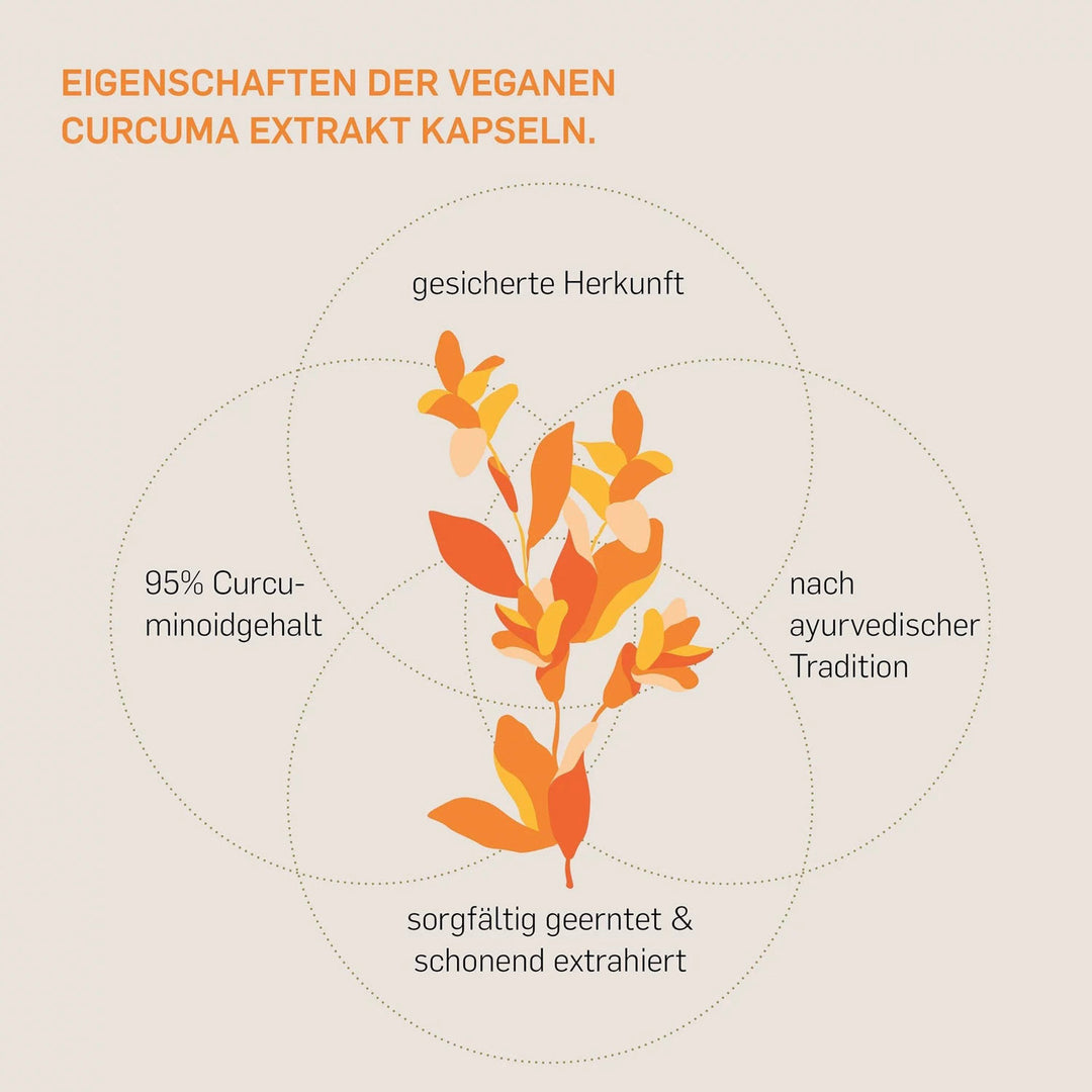 Curcuma Extrakt