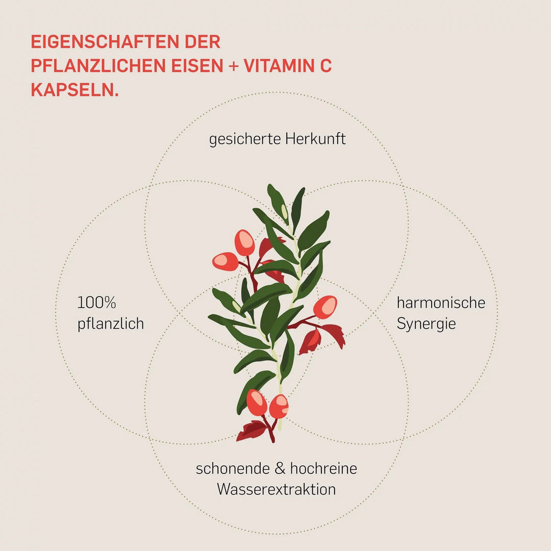 Eisen und Vitamin C