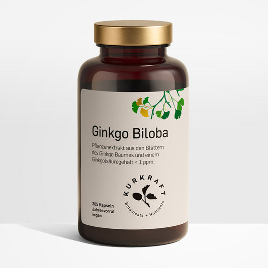 Ginkgo Biloba